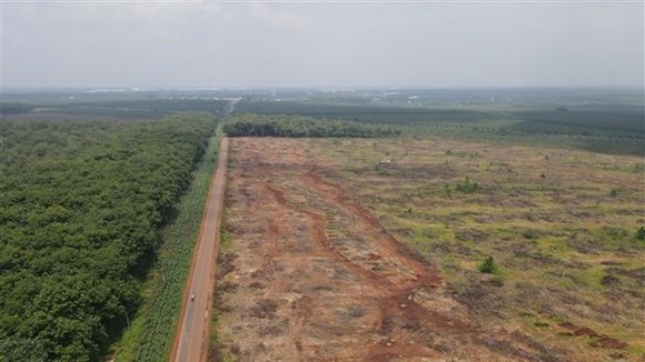 Vùng dự án sân bay Long Thành. (Ảnh: Công Phong/TTXVN)