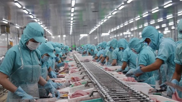 Quy trình sản xuất tại một cơ sở chế biến thủy sản của tỉnh Đồng Tháp. (Ảnh: Chương Đài/TTXVN)