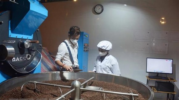 Rang xay càphê bằng phần mềm công nghệ tại một doanh nghiệp. (Ảnh: Hoài Thu/TTXVN)