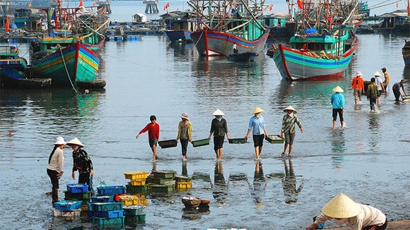 Trong quý 3, khu vực nông, lâm nghiệp và thủy sản tăng 1,04%