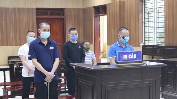 4 bị cáo (đứng) tại tòa. Ảnh: L.N.