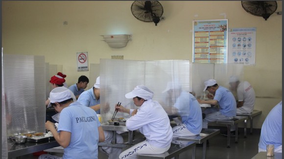 Lắp đặt vách ngăn là một trong những giải pháp phòng chống dịch Covid-19 ở những bếp ăn tập thể
