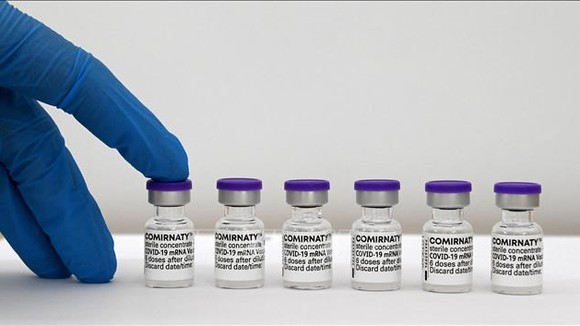 Vaccine ngừa Covid-19 của Pfizer-BioNTech. Ảnh: AFP/TTXVN