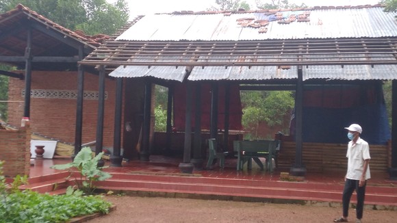 Mảnh đất 5.000 m2 của gia đình ông Hồ Trọng Biên.