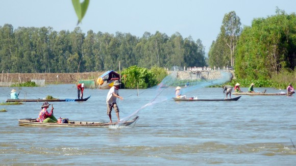 ĐBSCL cần mở rộng không gian chứa nước ngọt trong mùa mưa