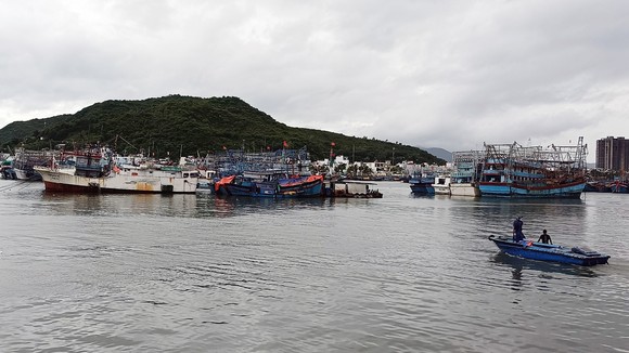 Tàu thuyền vào cảng Hòn Rớ, TP Nha Trang neo đậu để tránh bão. Ảnh: QUỲNH ANH