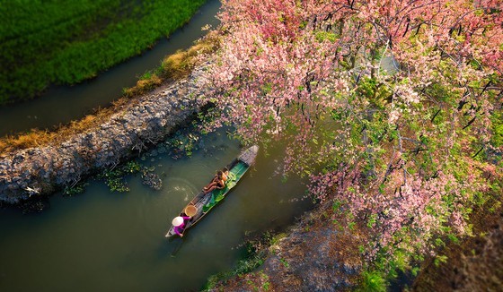Rowing by Nguyen Xuan Trang