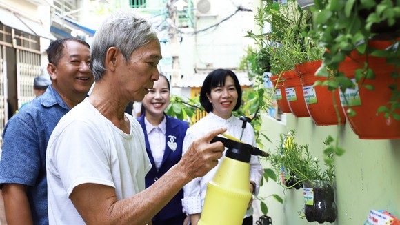 Người dân phường 9, quận 4 chăm sóc mảng xanh trước nhà