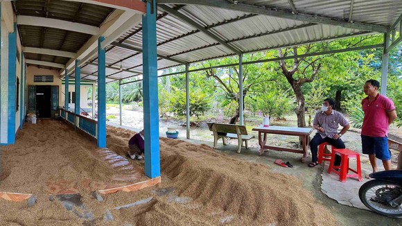 Hiện còn hàng ngàn tấn lúa tồn đọng trong dân không bán được