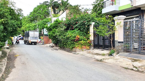 Nhiều hộ dân trồng cây lấn chiếm lề đường