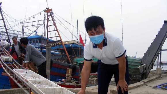 Anh Phan Văn Hải kiểm tra mực mới đánh bắt được sau chuyến vươn khơi xa