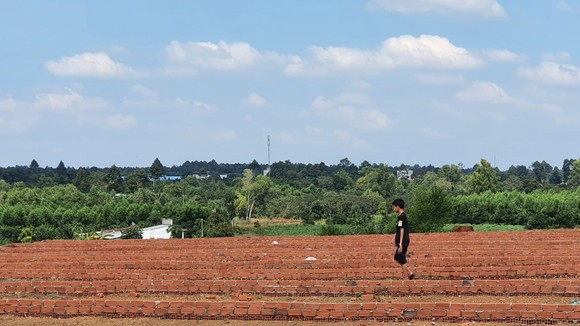 Đất nông nghiệp tại xã Sông Xoài, TX.Phú Mỹ được tách thành hàng trăm sổ đỏ