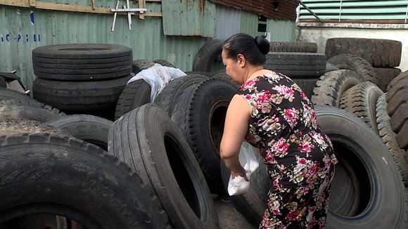Người dân rắc muối vào những lốp xe để muỗi không sản sinh tại những nơi này