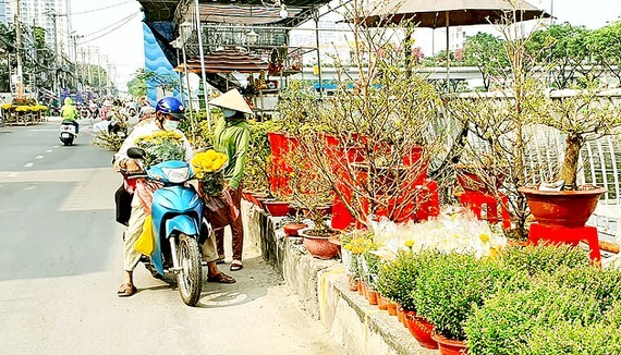 Người dân mua hoa trước tết. Ảnh: ĐOÀN HIỆP
