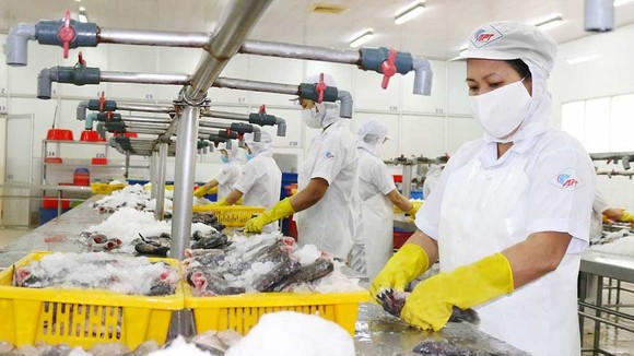 Nhóm hàng thủy hải sản của Việt Nam xuất khẩu vào EU có mức tăng trưởng vượt bậc. Ảnh: HOÀNG HÙNG