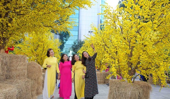 People enjoy a street of yellow apricot trees that are placed at the HCMC Youth’s Cultural House.
