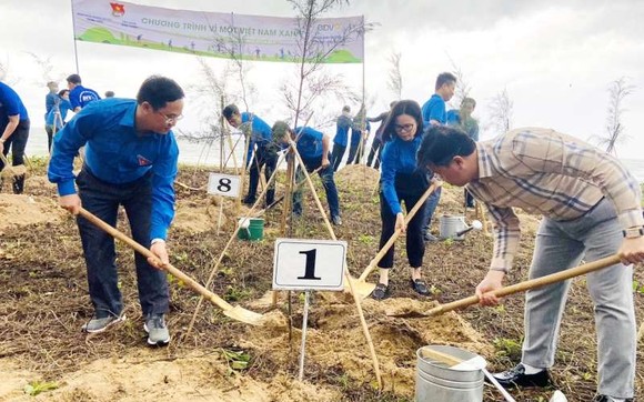 共青團平順省省委與中央企業機關共青團在富貴島上種樹。