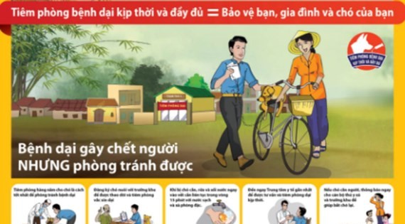 Ca Mau authority urgent to tackle rabies  Health  SGGP English 