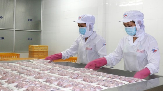 Las empresas de alimentos aceleran las inversiones para satisfacer la creciente demanda en los países |  negocio