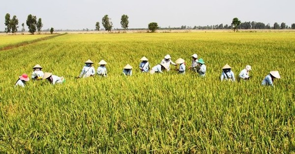 Việt Nam thúc đẩy nông nghiệp xanh |  Quốc gia