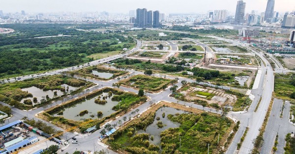 Bỏ cọc đất, thu lại từ cổ phiếu và trái phiếu?