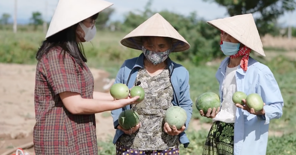 Lắng đọng ân tình người miền Trung - BÁO SÀI GÒN GIẢI ...