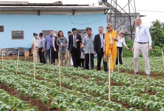 Dutch Queen visits farmers, businesses in Lam Dong | National | SGGP