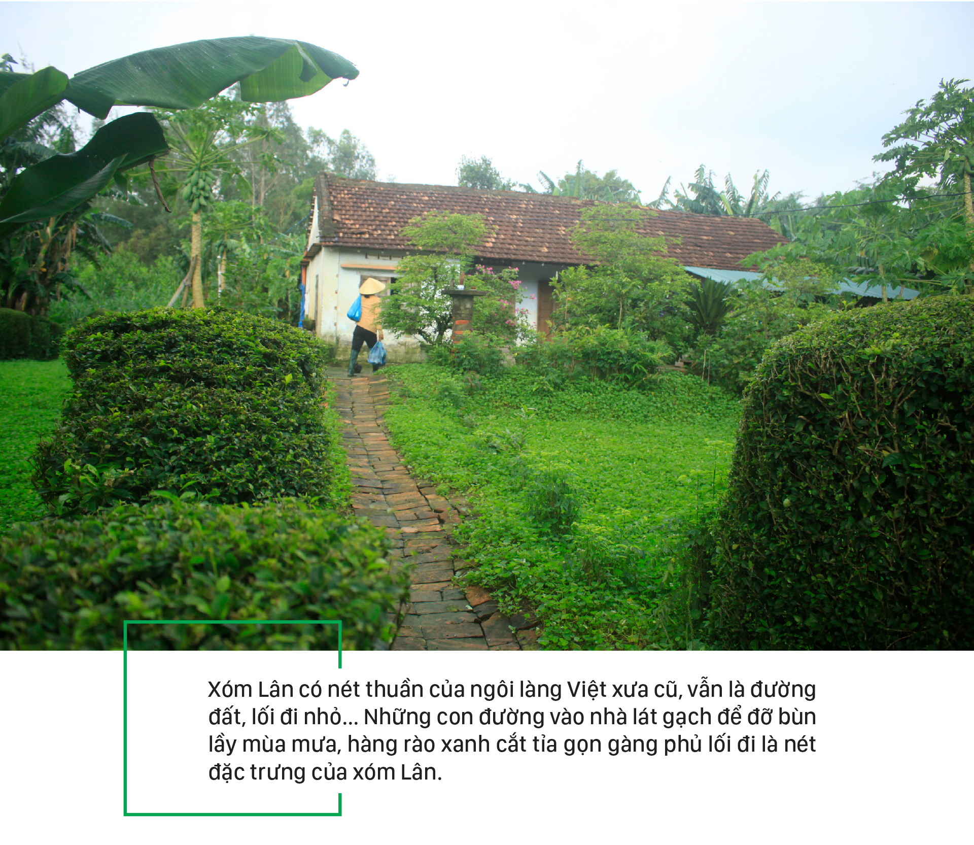 Thanh bình giữa xóm Lân ảnh 6