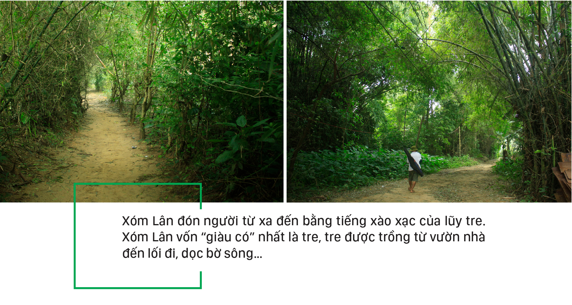 Thanh bình giữa xóm Lân ảnh 3