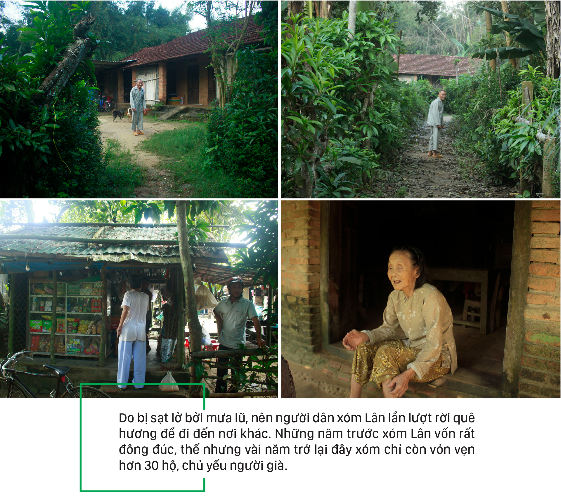 Thanh bình giữa xóm Lân ảnh 7