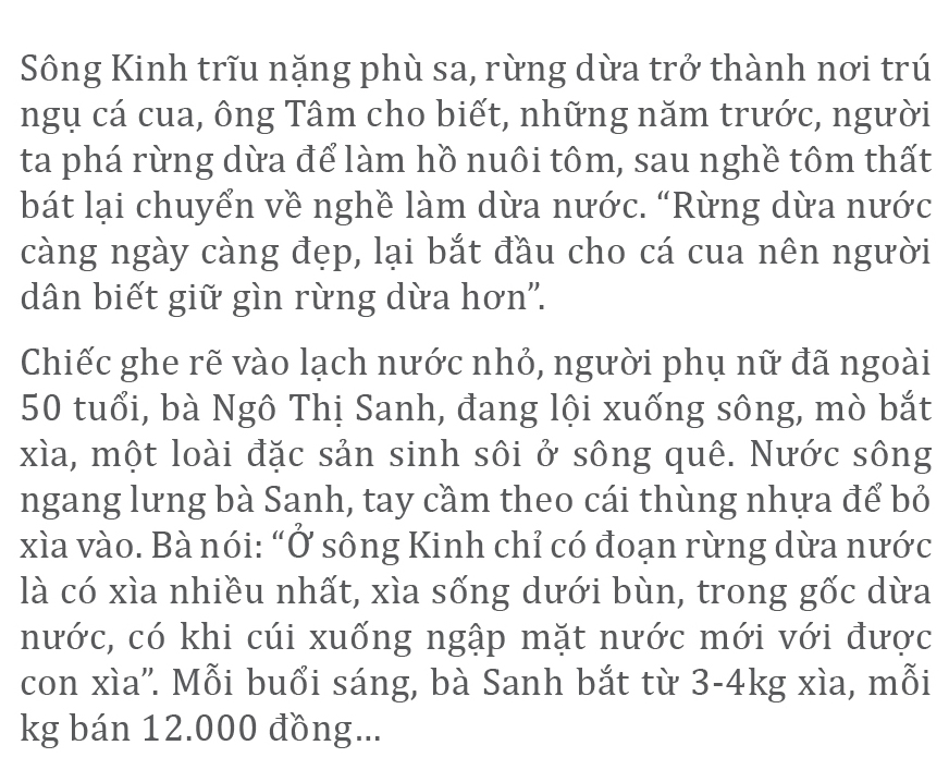 'Neo đời' theo bóng dừa nước sông Kinh ảnh 9