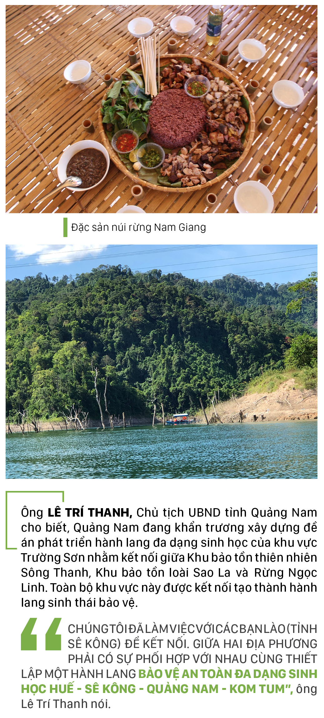 Nỗ lực giữ rừng Sông Thanh ảnh 13