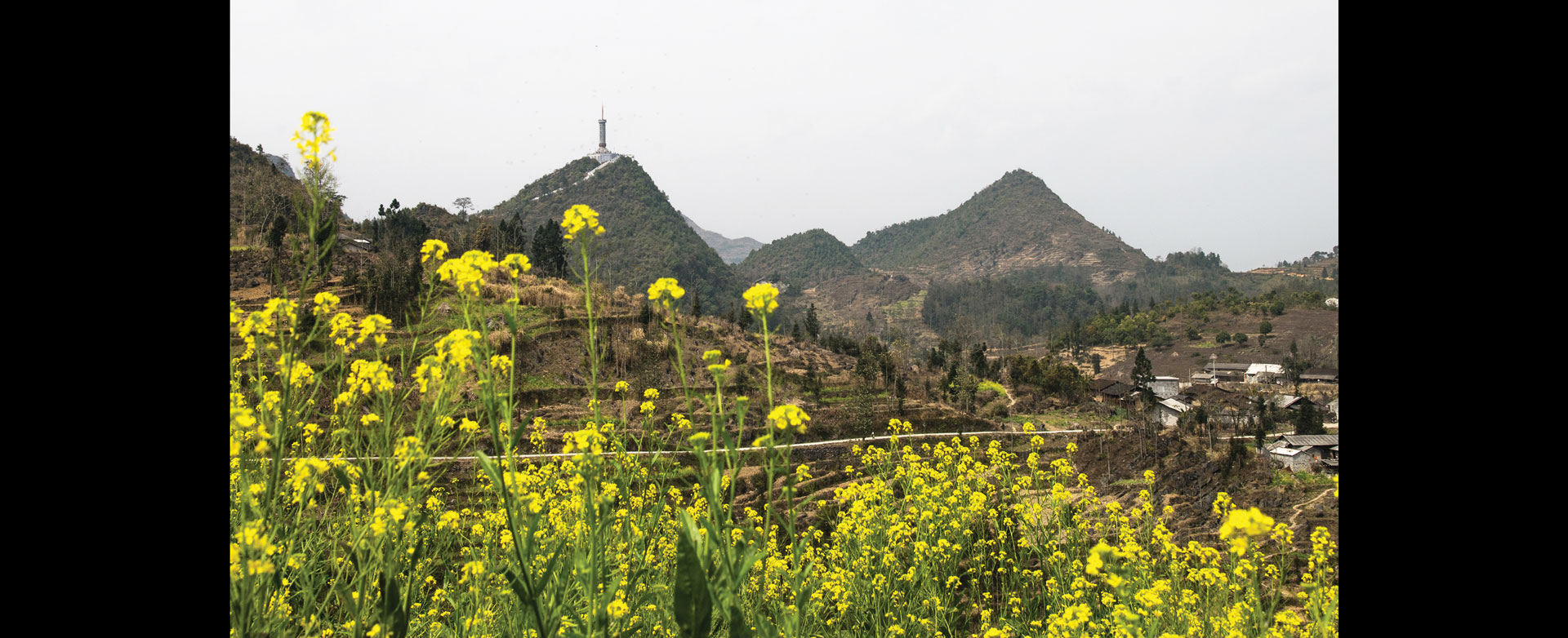 Lên non du xuân ảnh 6