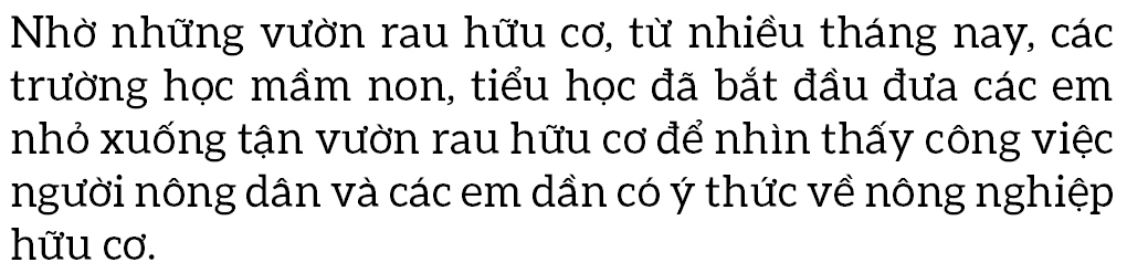 Nông dân tự làm bẫy sinh học, trừ sâu thảo mộc để trồng rau hữu cơ ảnh 17