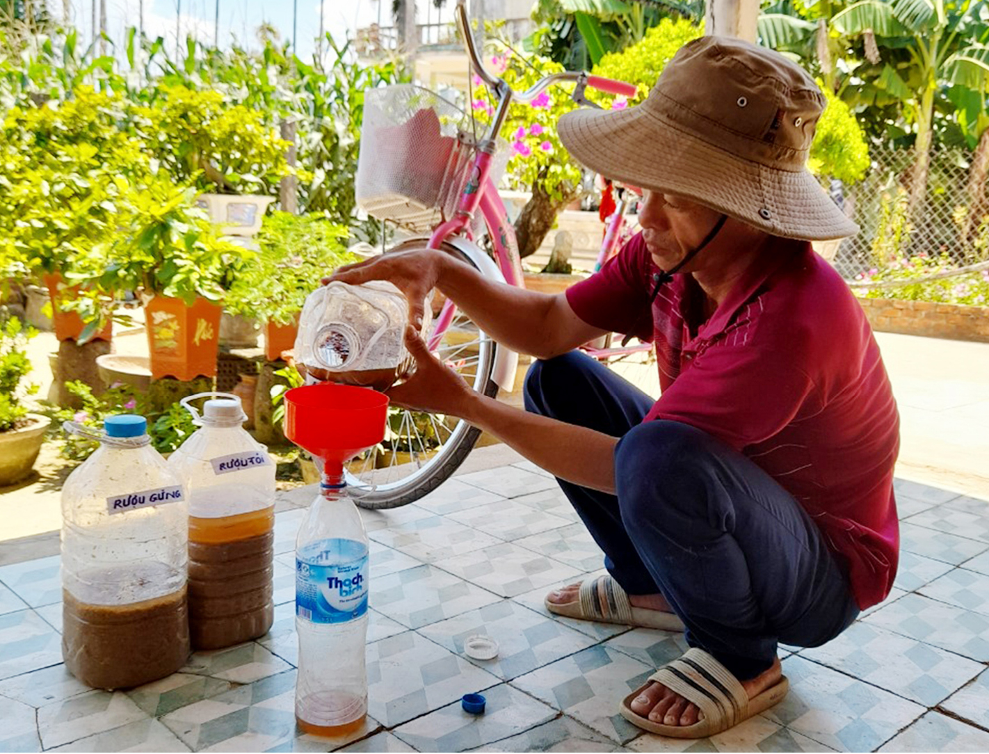 Nông dân tự làm bẫy sinh học, trừ sâu thảo mộc để trồng rau hữu cơ ảnh 9