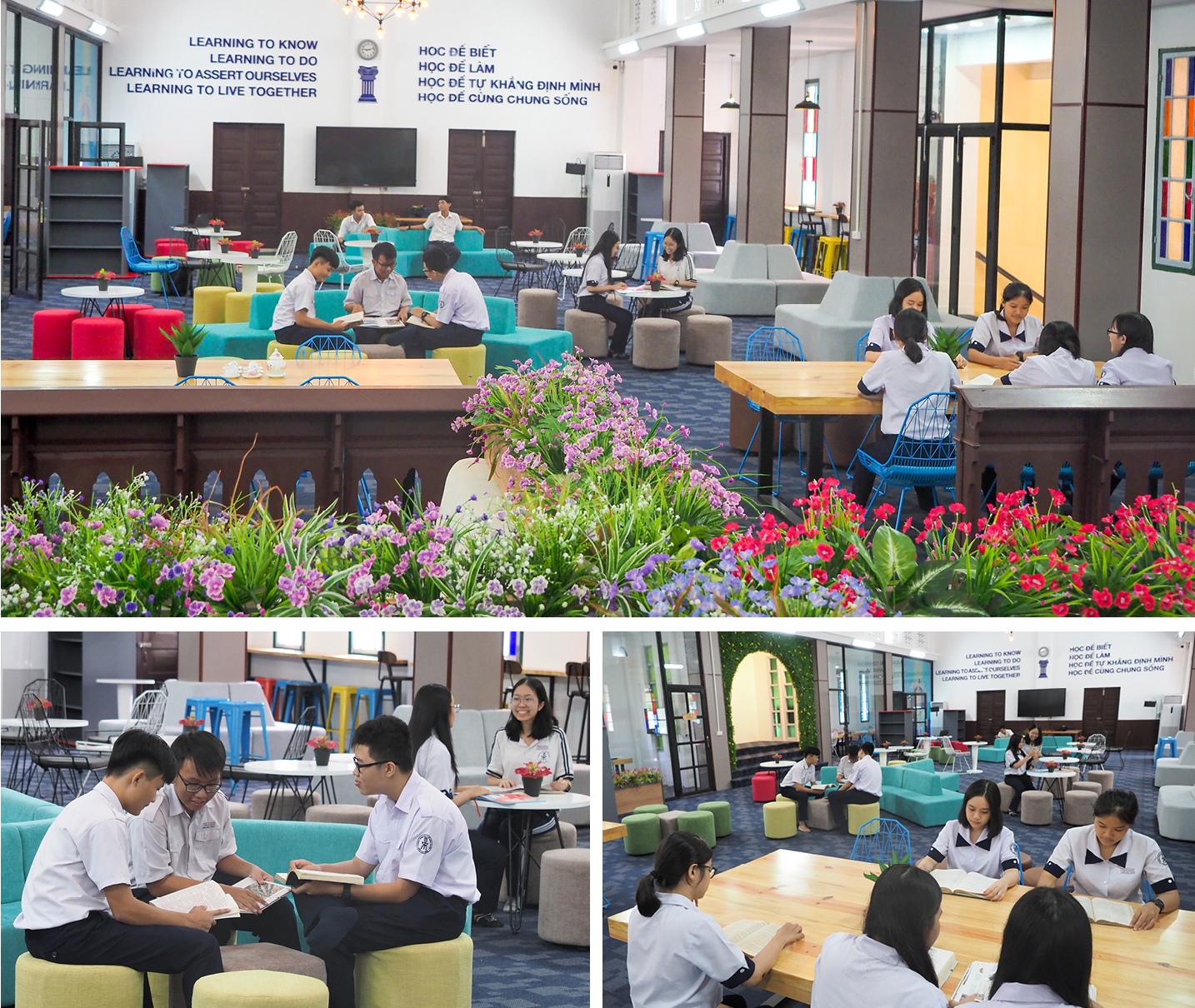 Đến thăm thư viện “5 sao” Trường THPT chuyên Trần Đại Nghĩa ảnh 15