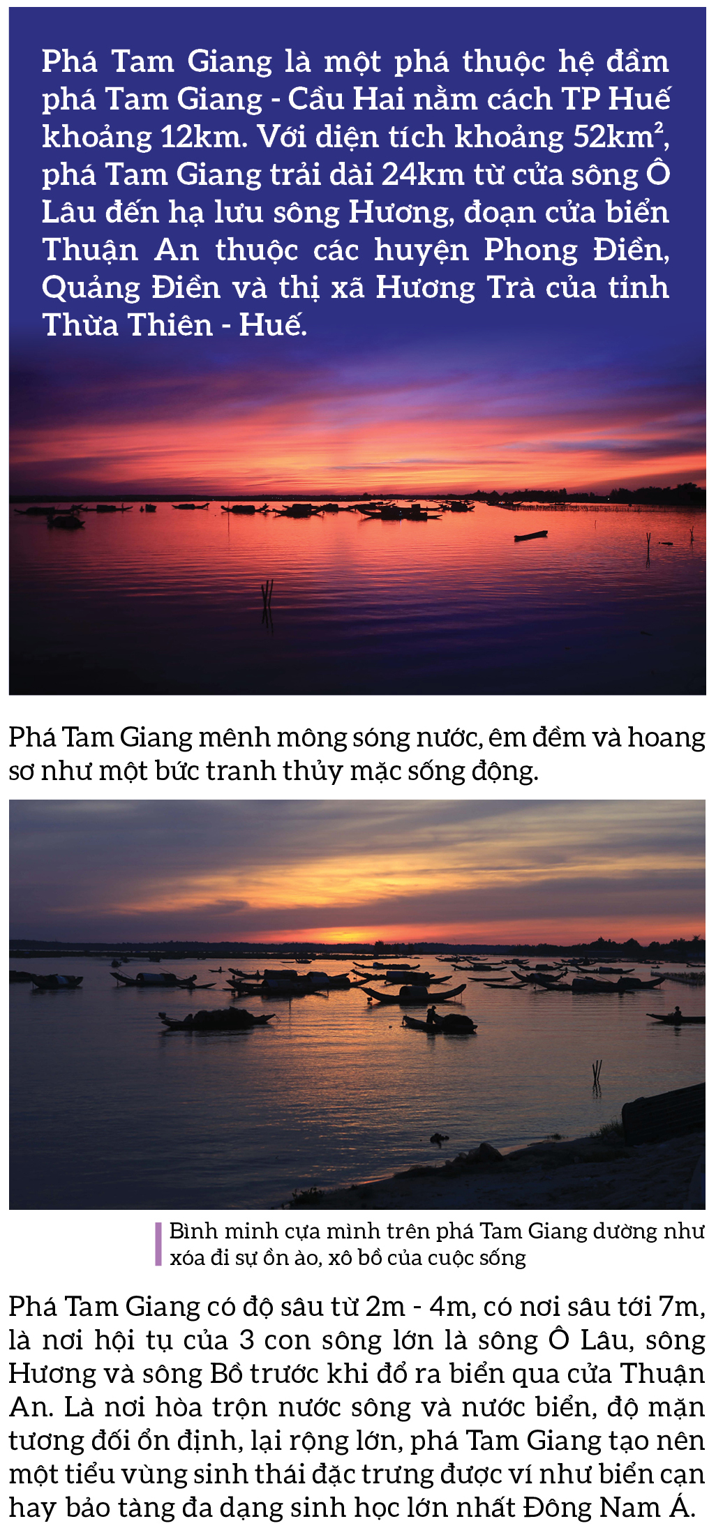 Bình yên sông nước phá Tam Giang ảnh 1