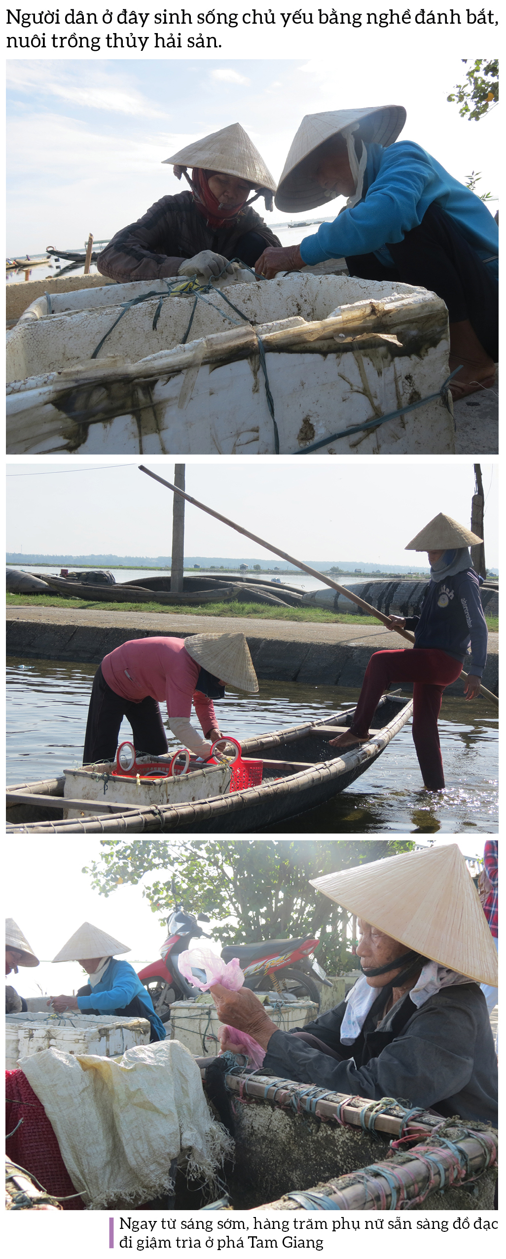 Bình yên sông nước phá Tam Giang ảnh 6