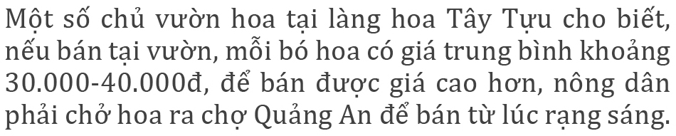 Cúc Họa mi từ vườn xuống phố ảnh 6