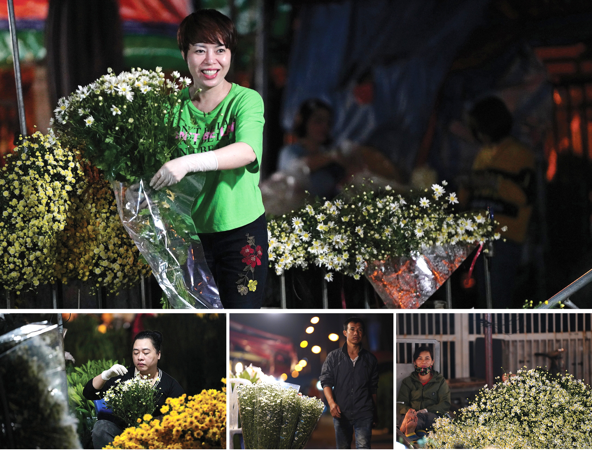 Cúc Họa mi từ vườn xuống phố ảnh 7