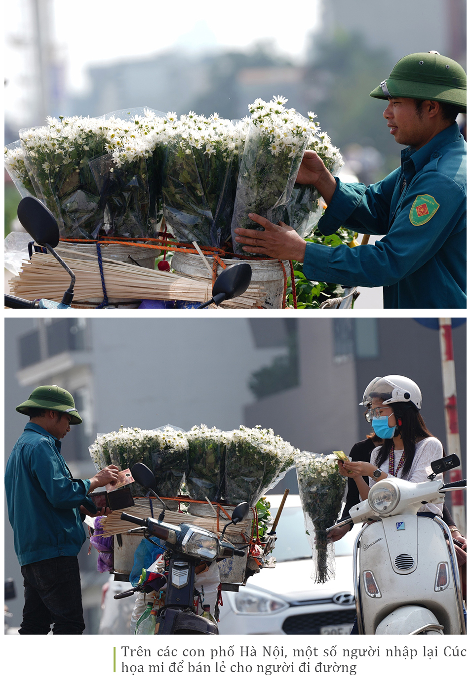 Cúc Họa mi từ vườn xuống phố ảnh 9
