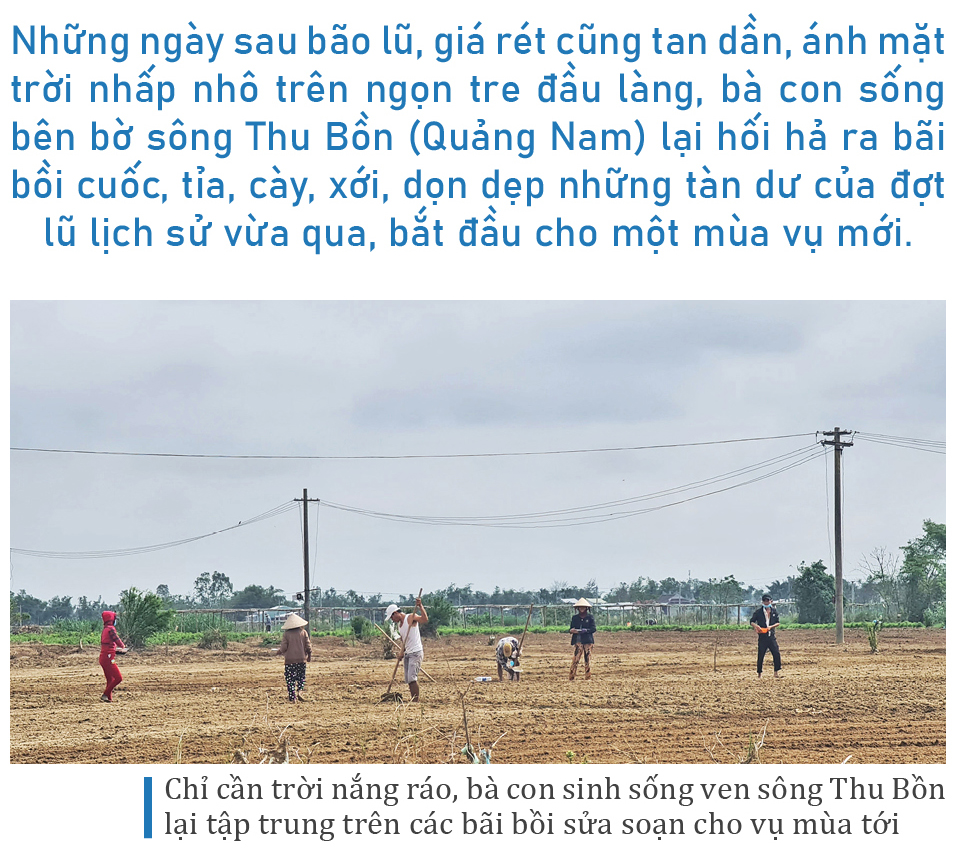 Mưu sinh trên bãi bồi ven sông Thu Bồn ảnh 1