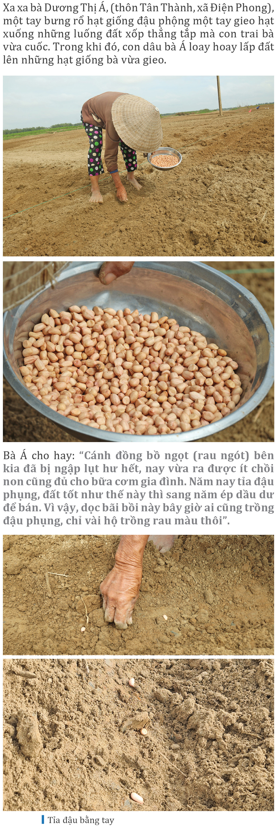 Mưu sinh trên bãi bồi ven sông Thu Bồn ảnh 5