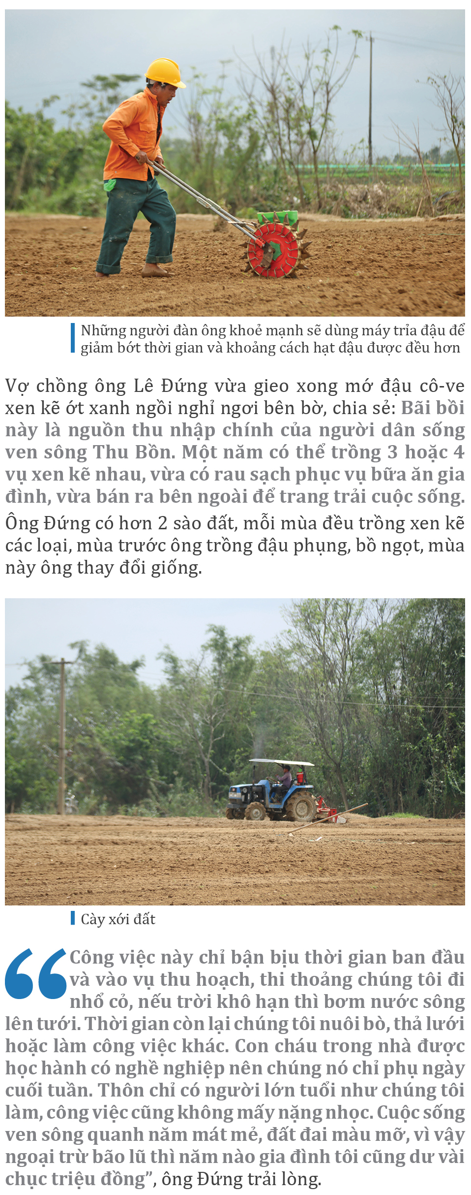 Mưu sinh trên bãi bồi ven sông Thu Bồn ảnh 6