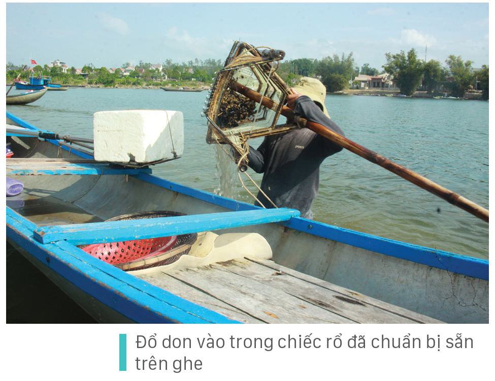Dầm mình cào don dưới sông Trà Khúc ảnh 8