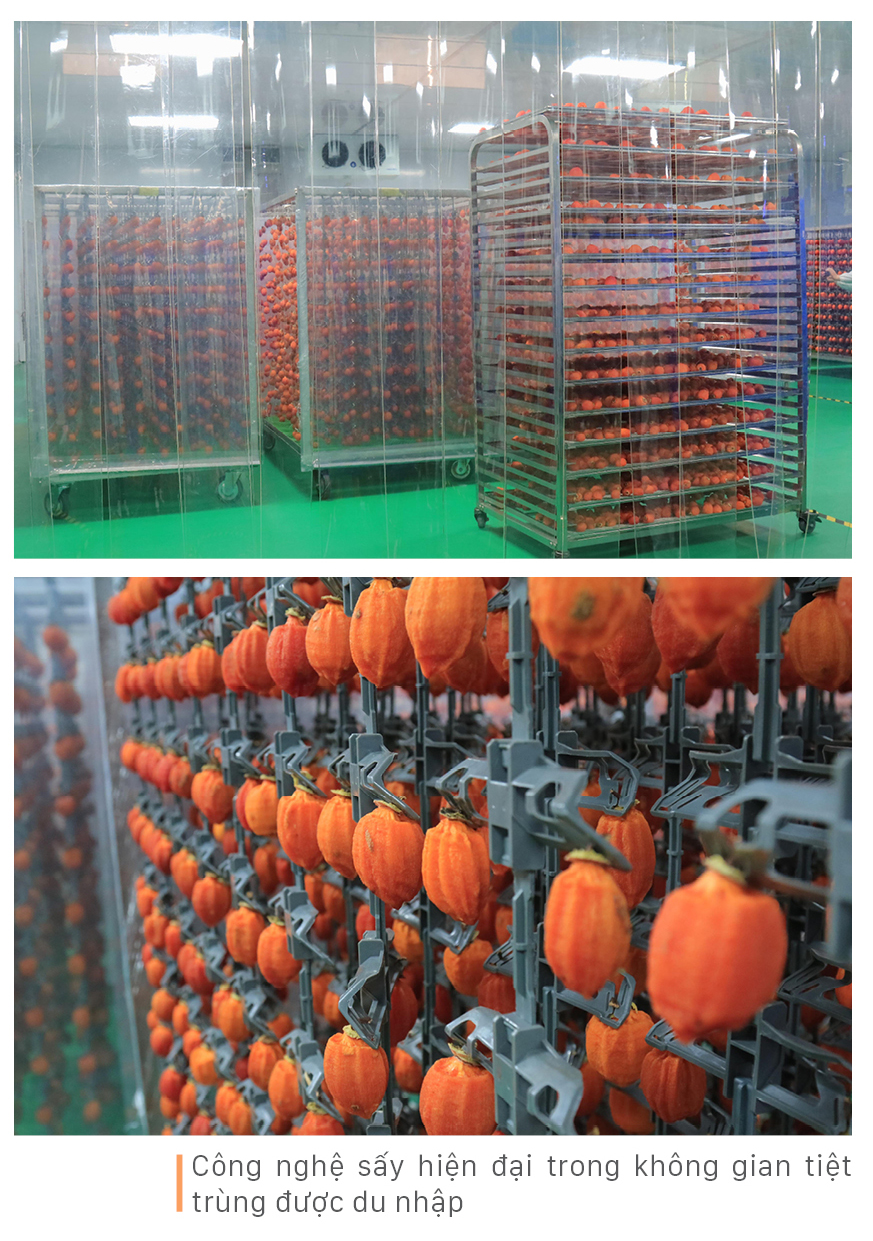 Đà Lạt mùa hồng trái ảnh 13