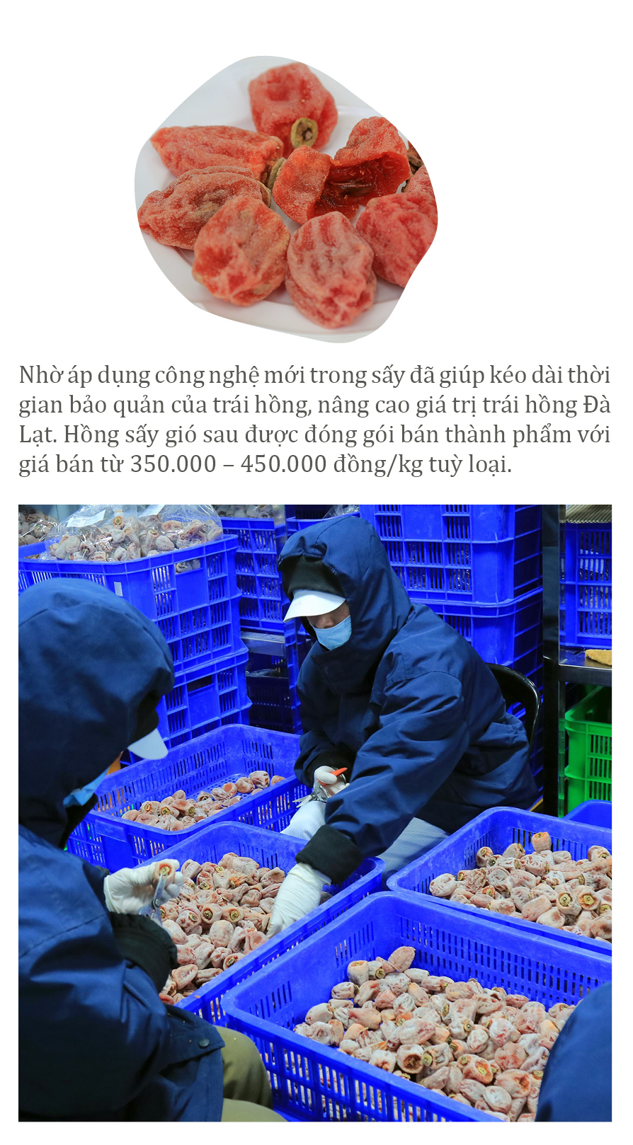 Đà Lạt mùa hồng trái ảnh 14