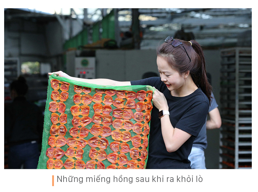 Đà Lạt mùa hồng trái ảnh 10