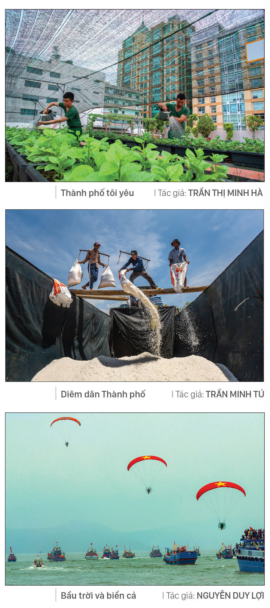 Thành phố tôi yêu ảnh 12