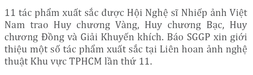 Thành phố tôi yêu ảnh 4